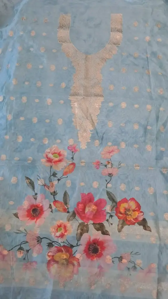 Anchal-04